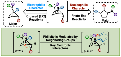 TOC Mechanism