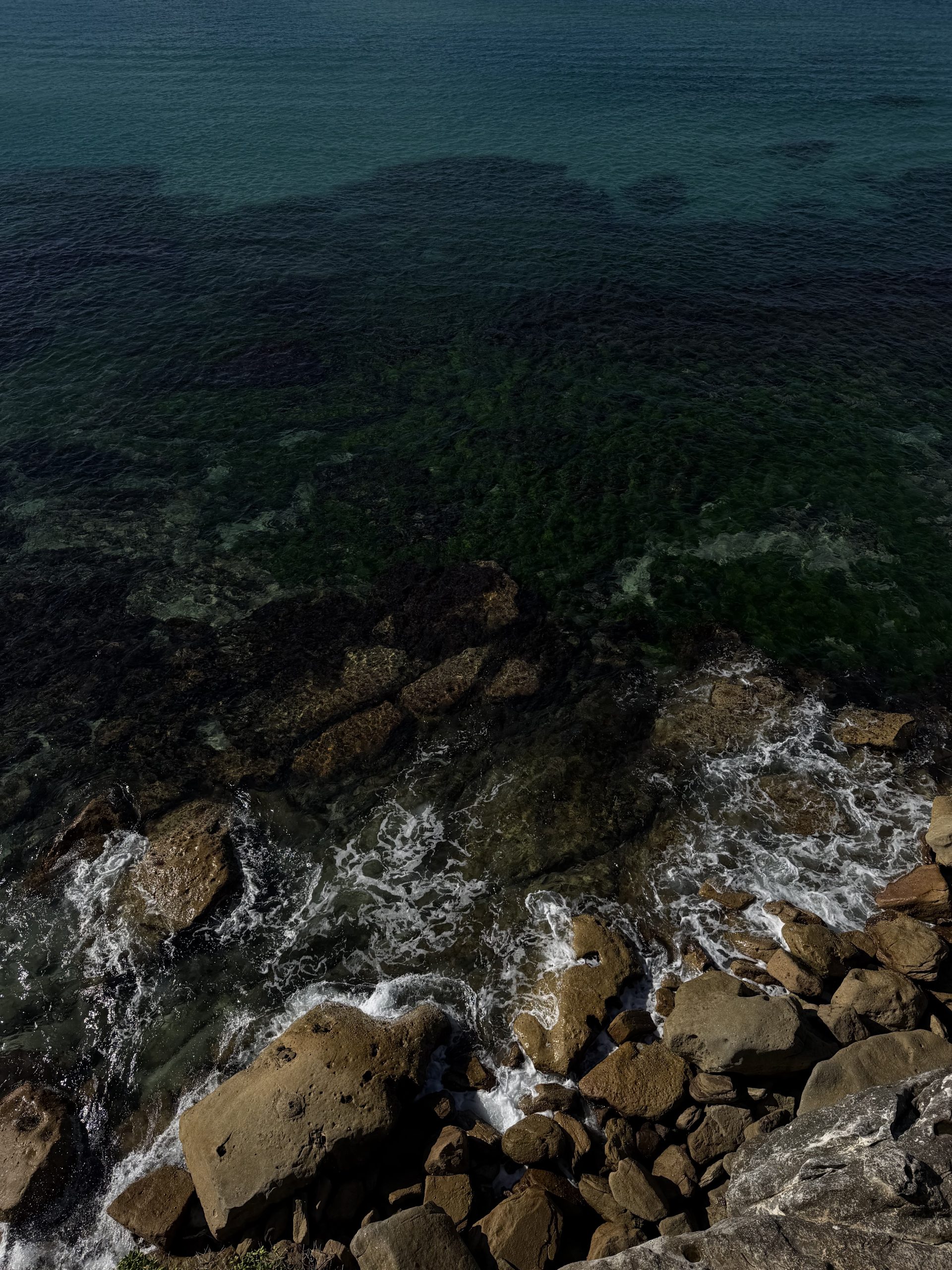 Bondi Cliffs