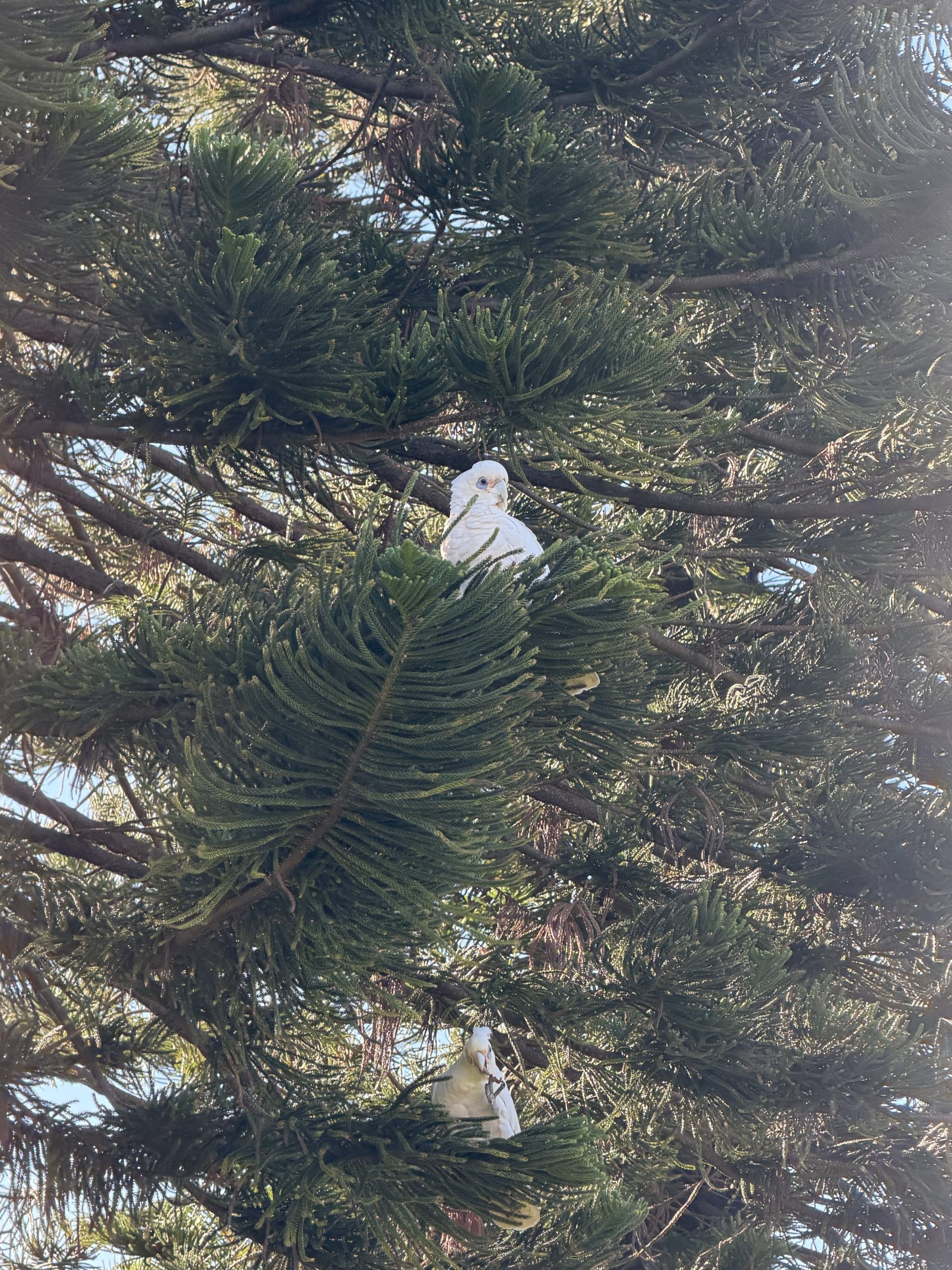 Hanging Out