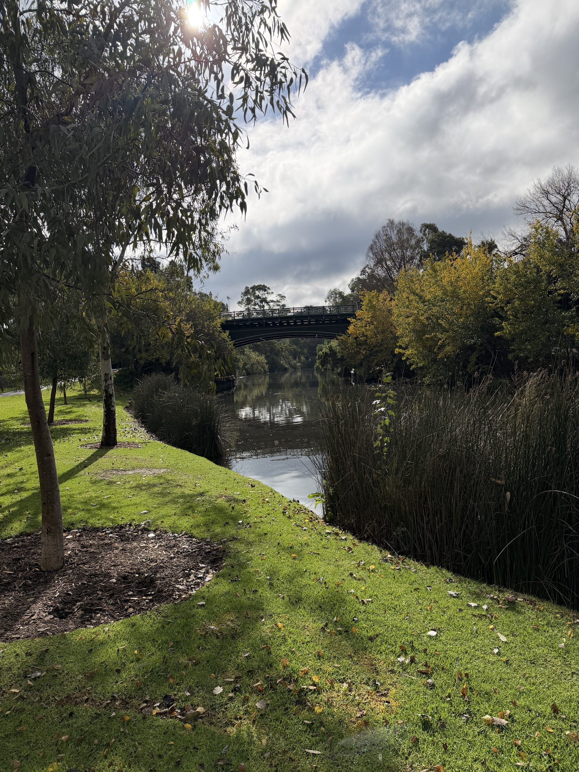 Walk in the Parklands
